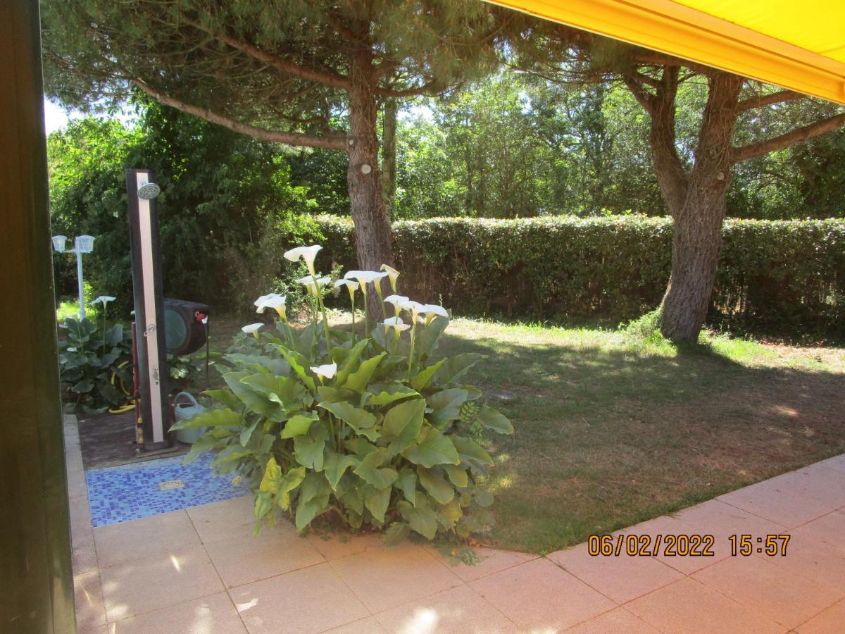 Bed and Breakfast Locatlantique Эйтре Экстерьер фото